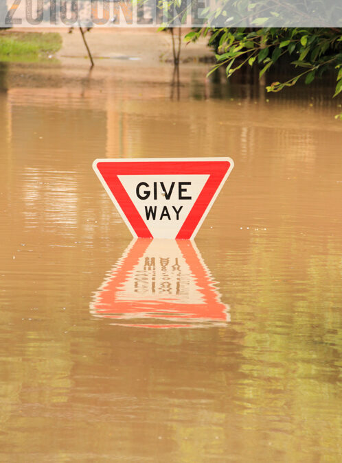 2010give_way