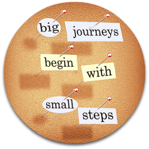 2010_babysteps_cr300