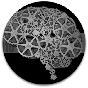 2010_cognitive_cr300