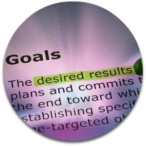 2010_goals_cr300